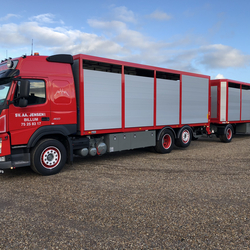 transport-af-dyr-billum-esbjerg-varde-ribe-skjern