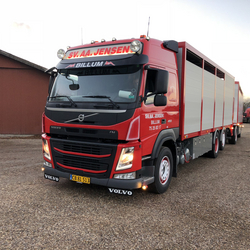 dyretransport-esbjerg-billum-varde-blåvand-ribe-skjern